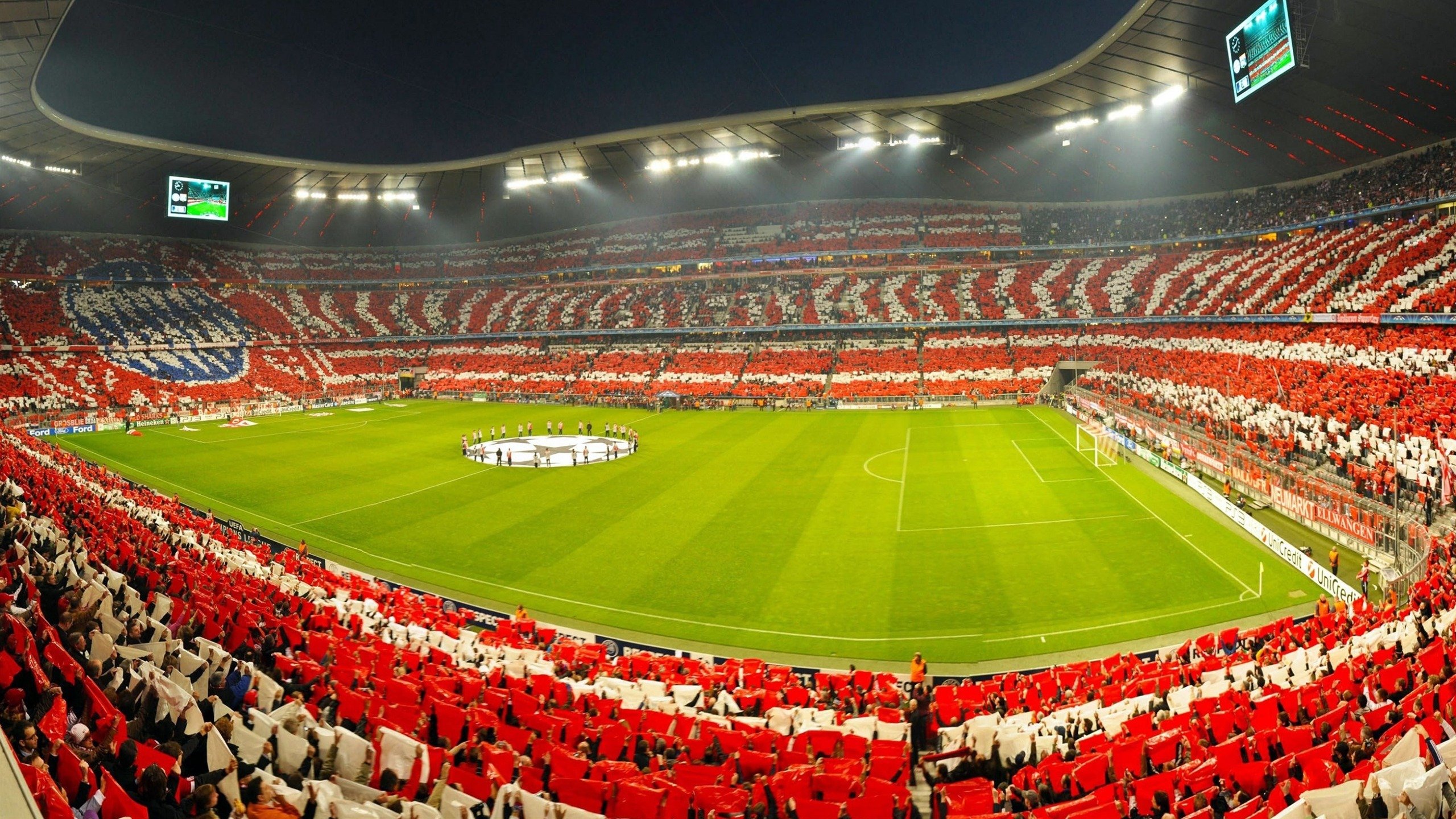 自由式滑雪国家队阵容渐趋稳定，自由式滑雪中国队